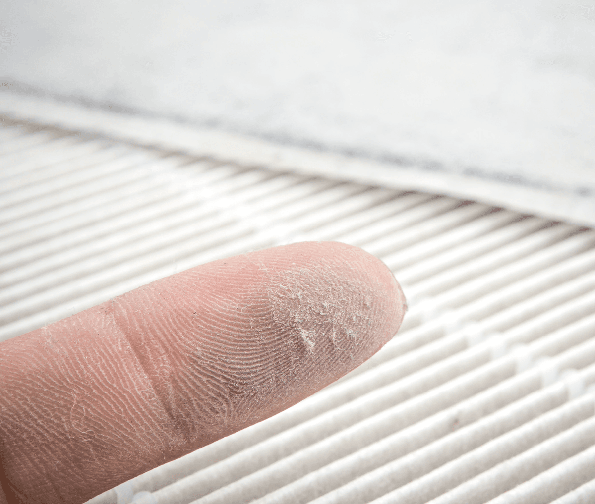 Dust accumulated on hand - what your family breathes daily